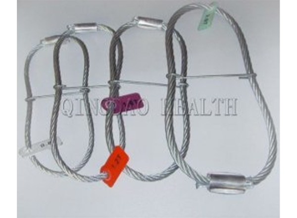 Wire Lifting Loop